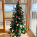 クリスマスツリー