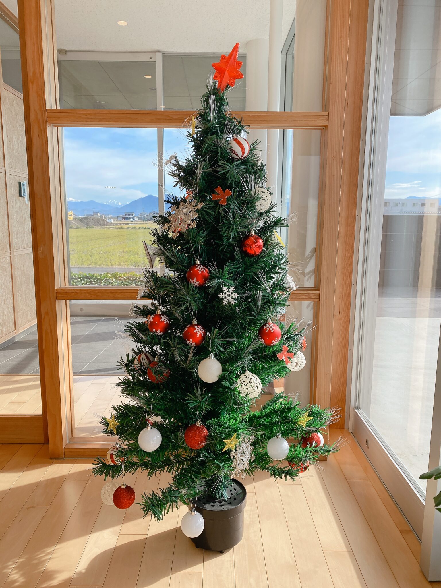 クリスマスツリー